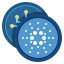 Cardano