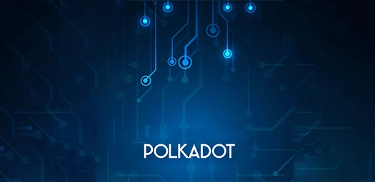 Polkadot Development