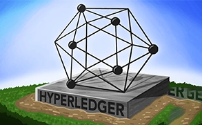 Customized Hyperledger Solutions
